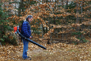 Yard Work