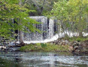 Hampton Falls, NH TownSeal and Hampton Falls