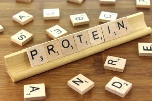 Why You Should Eat More Protein