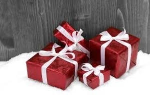 Great Gift Giving Program in Northern NH