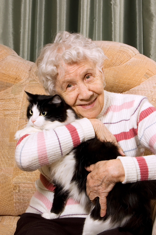 6 Benefits of Pet Therapy for Seniors