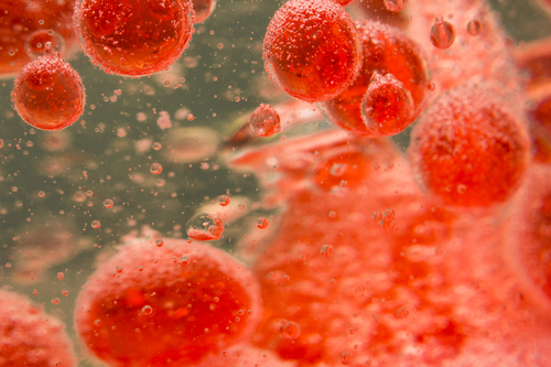 Could Stem Cells Rejuvenate the Blood Stream?